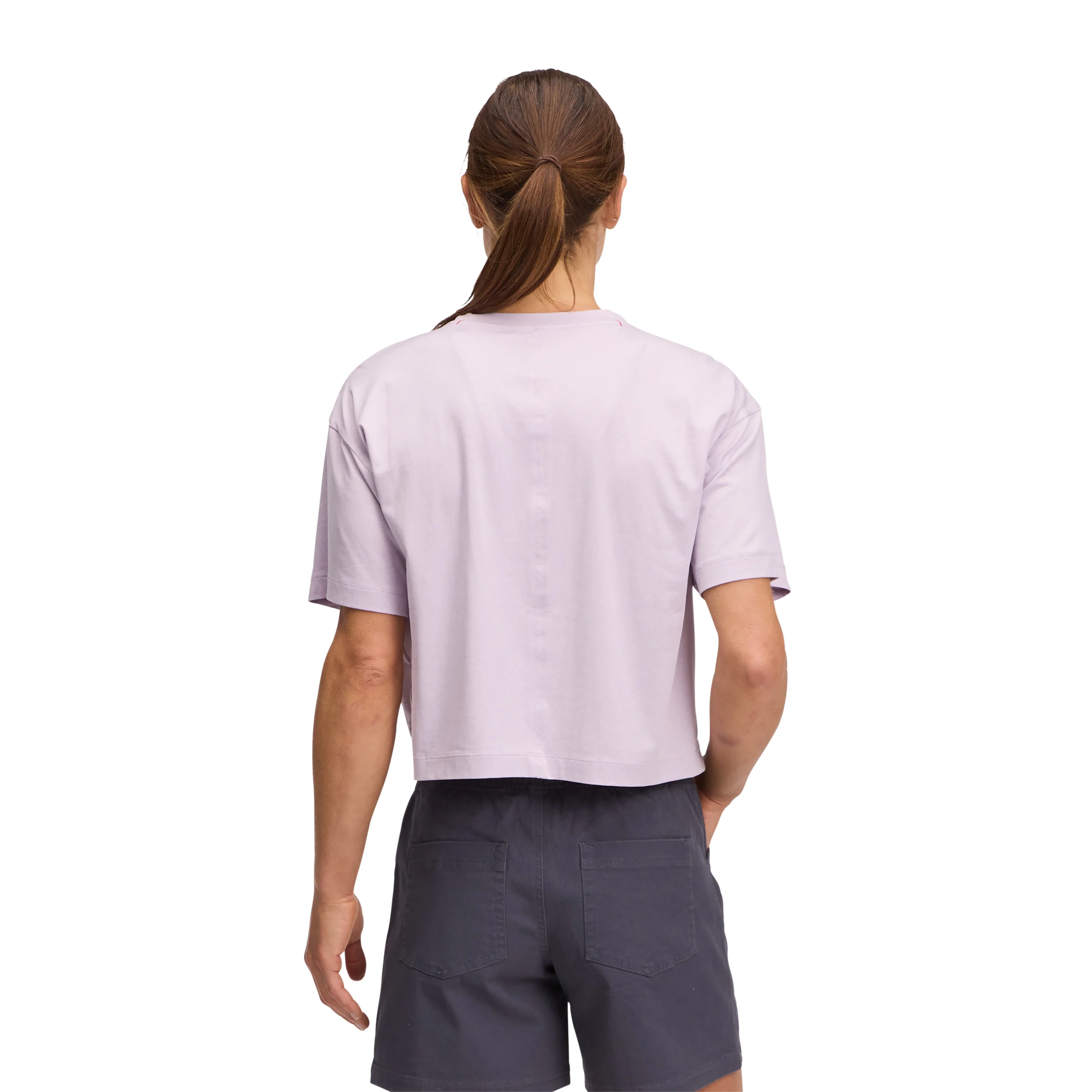 Thumbnail 13